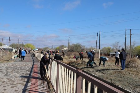 СЕНБІЛІККЕ ЖҰРТШЫЛЫҚ БЕЛСЕНДІ ҚАТЫСТЫ