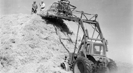 ТАРИХ ТАРАУЛАРЫНАН ҮЗІК ӘҢГІМЕЛЕР