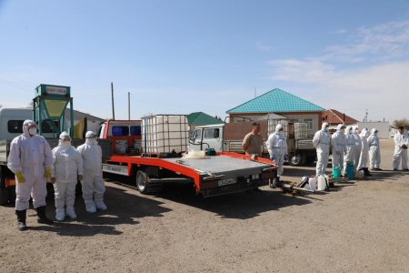 ҚАРМАҚШЫДА КЕНЕГЕ ҚАРСЫ ЗАЛАЛСЫЗДАНДЫРУ ЖҰМЫСТАРЫ БАСТАЛДЫ