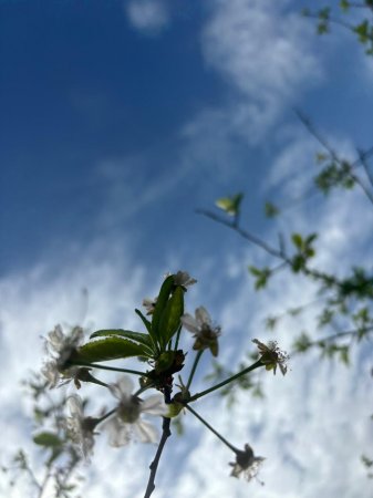Еліміздің басым бөлігінде ауа райы құбылмалы болады