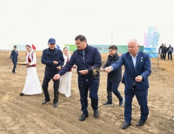 Сыр өңірінде егін алқабына алғашқы дән себілді