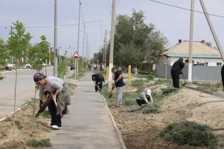 «ТАЗА ҚАЗАҚСТАН» АКЦИЯСЫ АЯСЫНДА СЕНБІЛІК ЖҰМЫСТАРЫ ҚАРҚЫНДЫ ЖҮРГІЗІЛУДЕ