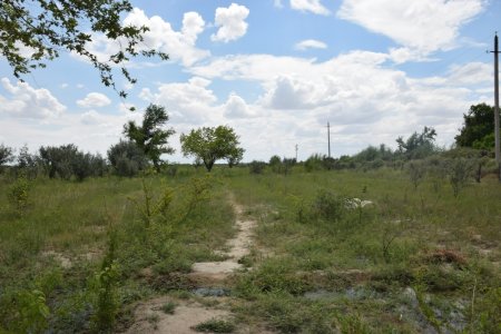 КӨГАЛДАНДЫРУ КӨРІКТІ ЕТЕДІ