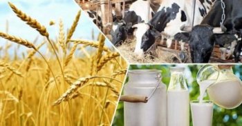 Мал шаруашылығы қызметкерлері күні – аграршылардың елдің азық-түлік қауіпсіздігіне қосқан үлесін мойындау
