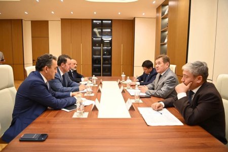ТҮРІК ИНВЕСТОРЛАРЫМЕН ЖЫЛЫЖАЙ ШАРУАШЫЛЫҒЫН ДАМЫТУ МӘСЕЛЕСІ ТАЛҚЫЛАНДЫ