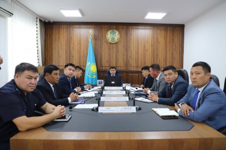 ГАЗ САЛАСЫН ДАМЫТУ МӘСЕЛЕСІ ҚАРАЛДЫ