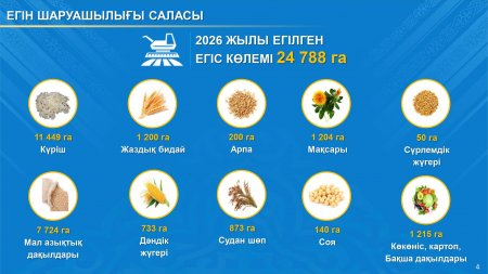 ҚАРМАҚШЫ АУДАНЫНДА АУЫЛ ШАРУАШЫЛЫҒЫ САЛАСЫНЫҢ ДАМУ ҚАРҚЫНЫ САҚТАЛУДА