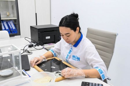 ҚЫЗЫЛОРДАДА АВТОМАТТАНДЫРЫЛҒАН КҮРІШ ӨҢДЕУ ЗАУЫТЫ ІСКЕ ҚОСЫЛДЫ