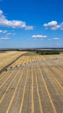 Елімізде дәнді дақылдардың 61,6%-ы жиналды, 13,5 млн тонна астық бастырылды