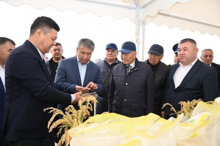 «ДАЛА КҮНІ – 2026»: ҚАЗАЛЫЛЫҚТАР ЕГІНГЕ АЛҒАШҚЫ ОРАҚ САЛДЫ