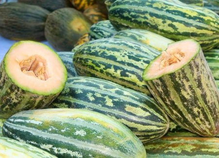 СЫР ӨНІМДЕРІНЕ ЕЛОРДАЛЫҚТАРДЫҢ СҰРАНЫСЫ ЖОҒАРЫ