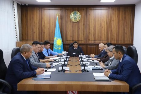 КӘМЕЛЕТКЕ ТОЛМАҒАНДАРДЫҢ ҚҰҚЫҚТАРЫН ҚОРҒАУ МӘСЕЛЕЛЕРІ ТАЛҚЫЛАНДЫ