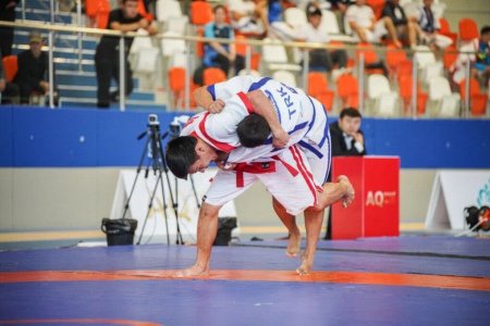Ауыл спорты – ұлттық құндылықтың бір бөлігі