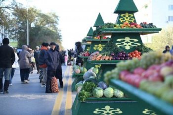 «Алтын күз – 2026»: 1200 тоннадан астам ауыл шаруашылығы өнімі ұсынылуда